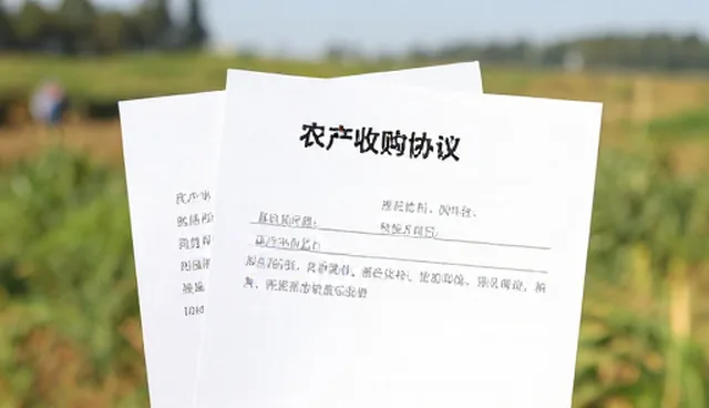 项目执行跟踪中性能差异影响结果的原因分析